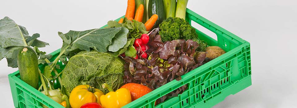 Bioland Hof Hubertus Holtschulte | Hamm | Soest | Welver